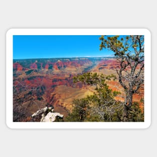 Grand Canyon Beautiful day Photo To travel is to live Sticker